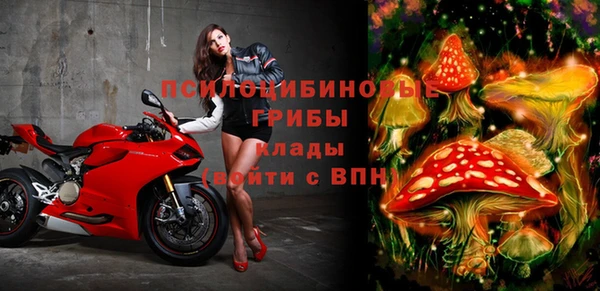 бошки Алзамай