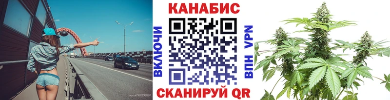 Шишки марихуана THC 21%  Ковдор 